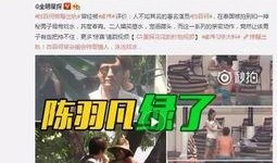 西港狠人爆料视频大全,揭秘网络背后的真实故事